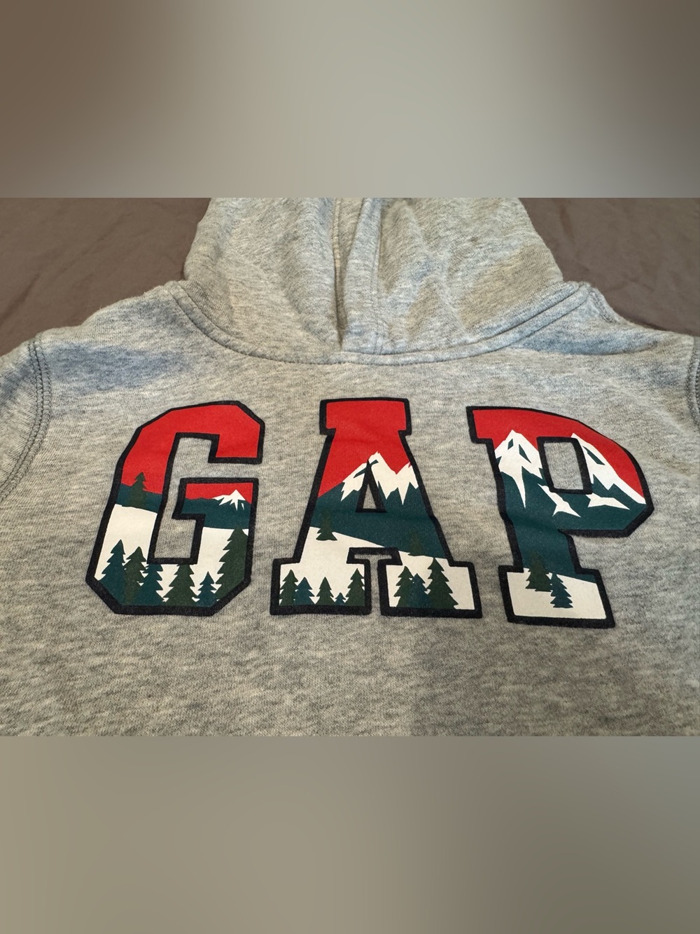 GAP Gray Hoodie with Red, Green & White Mountain Logo